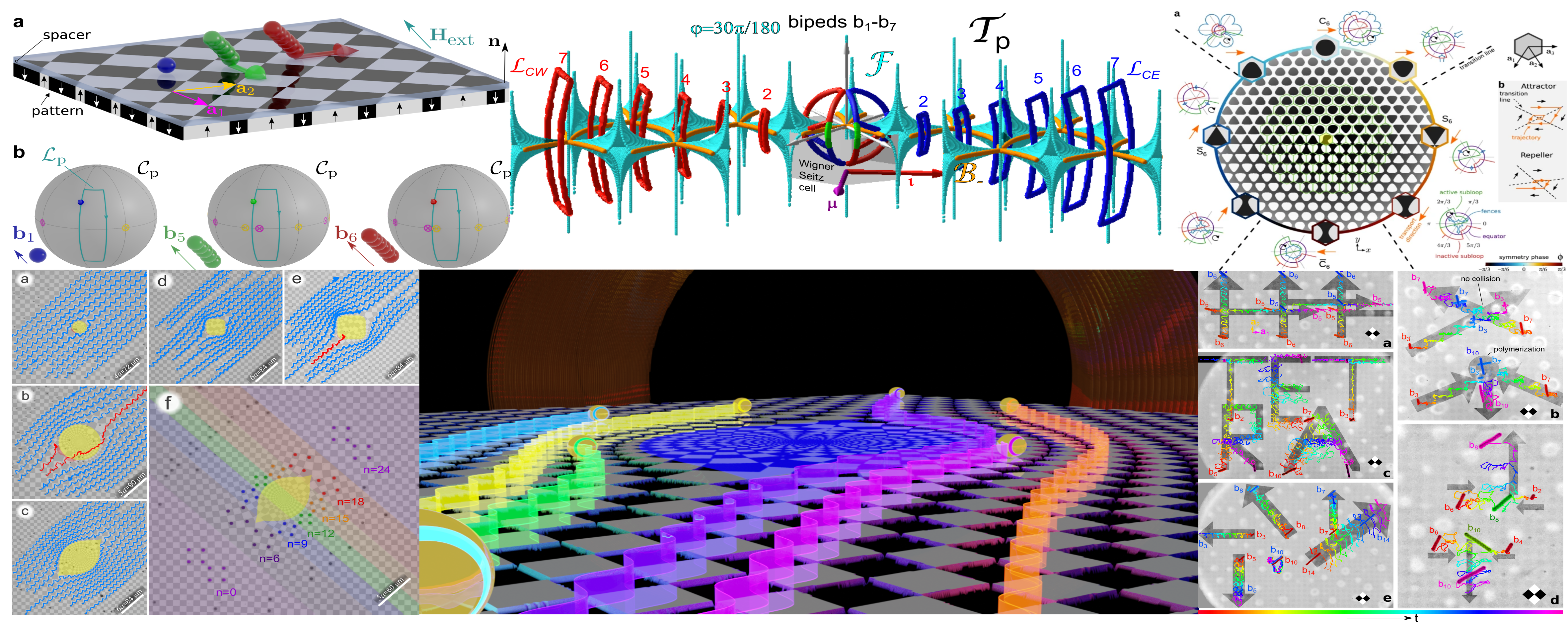 topological transport